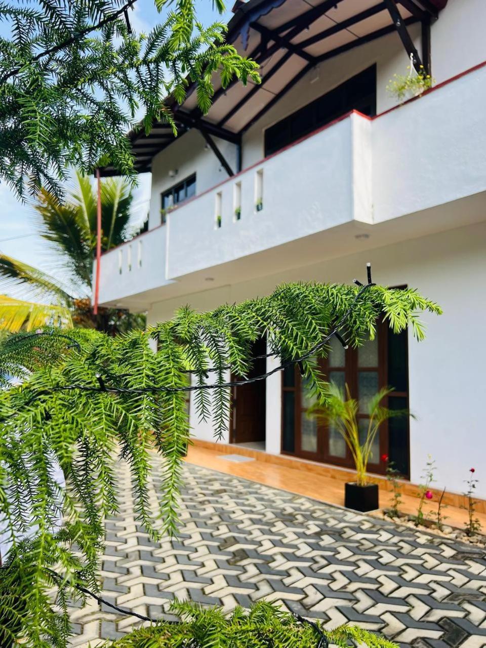 Montes Ella Bed & Breakfast Dış mekan fotoğraf